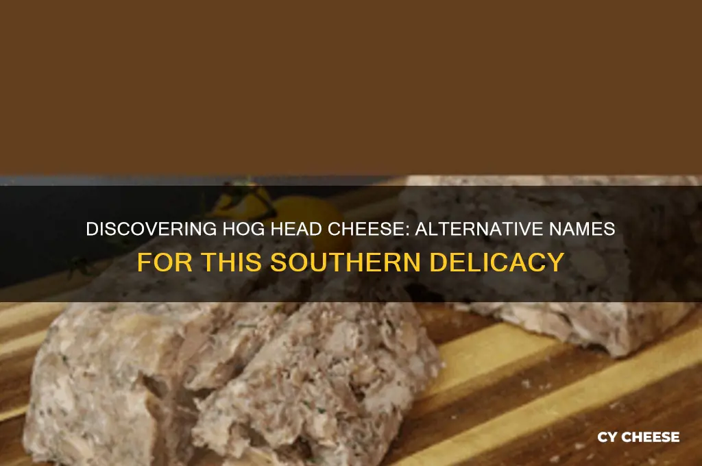 what is another name for hog head cheese