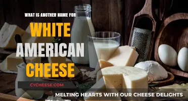 Unveiling the Secret Identity of White American Cheese: Alternative Names