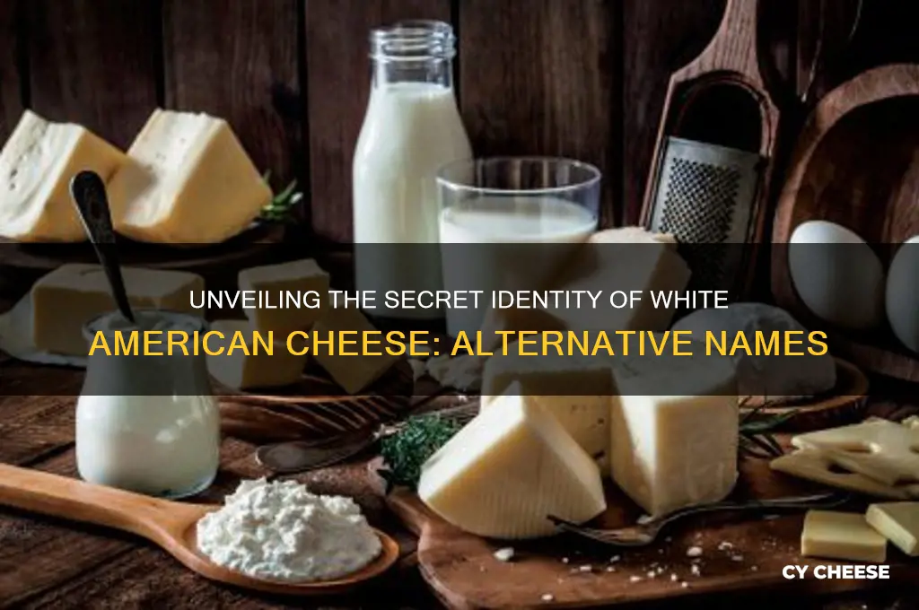 what is another name for white american cheese