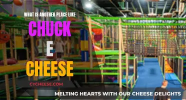 Fun-Filled Family Entertainment: Exploring Similar Places to Chuck E. Cheese