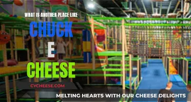 Discovering Fun Alternatives to Chuck E. Cheese's