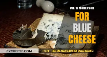 The Ultimate Guide to Blue Cheese Synonyms
