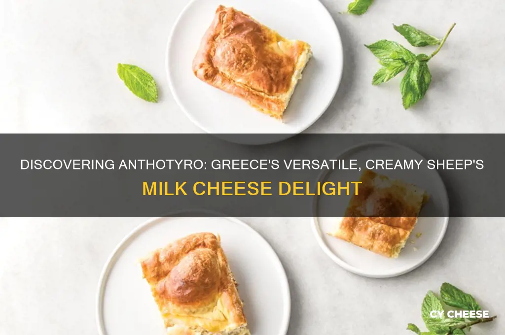 what is anthotyro cheese