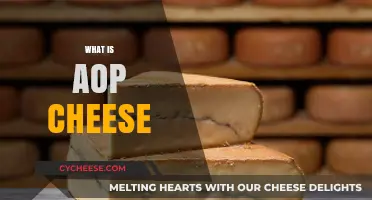 Understanding AOP Cheese: French Tradition, Quality, and Protected Designation