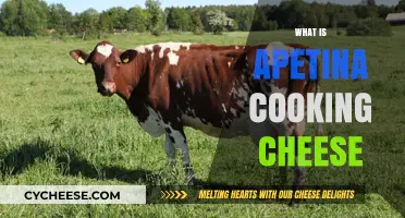 Discover Apetina Cooking Cheese: The Ultimate Kitchen Companion