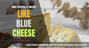 Unraveling the Allure: Why Blue Cheese Captivates Palates