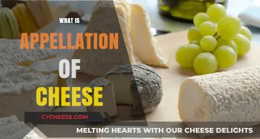 Understanding Cheese Appellations: Origins, Regulations, and Unique Flavors Explained