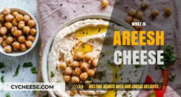 Discover Areesh Cheese: A Traditional Middle Eastern Dairy Delight