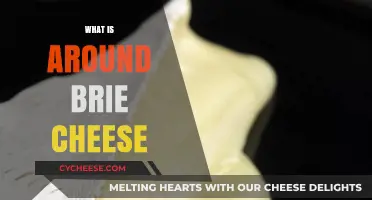 Exploring the World Around Brie Cheese: Origins, Pairings, and Culinary Delights