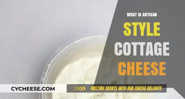Discover Artisan Style Cottage Cheese: Texture, Taste, and Tradition Explained