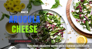 Discover Arugula Cheese: Flavor, Uses, and Perfect Pairings Explained