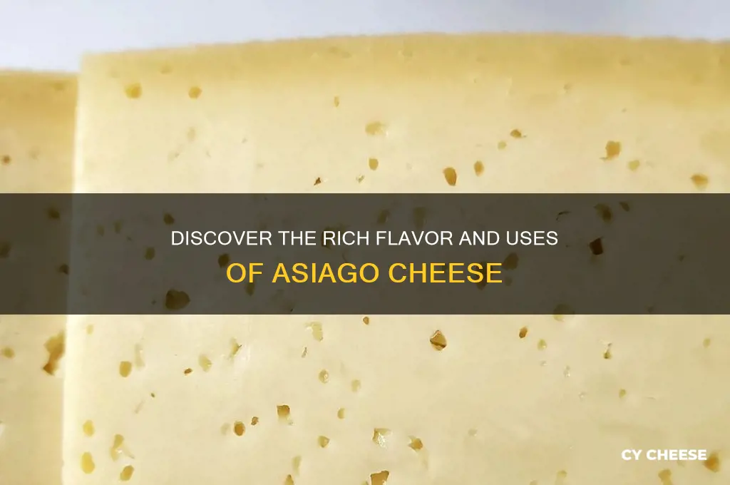 what is asaigo cheese