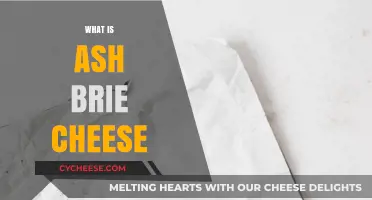 Discover the Creamy Delight: What is Ash Brie Cheese?