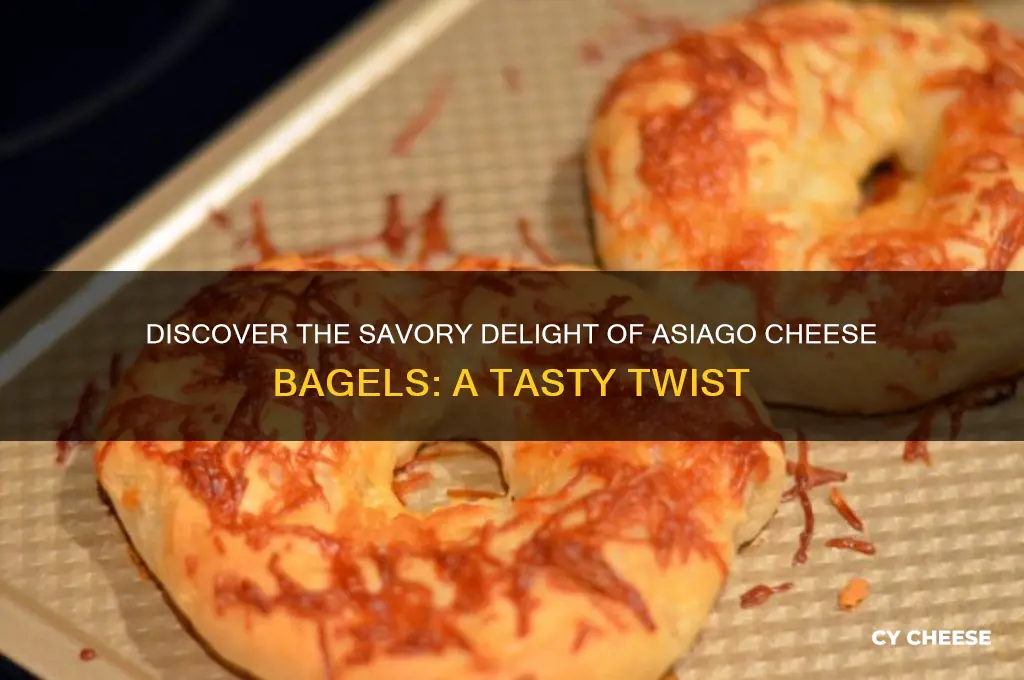 what is asiago cheese bagel
