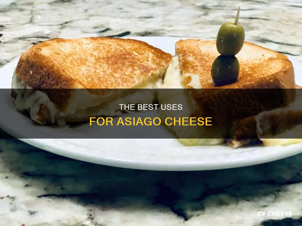 what is asiago cheese best for