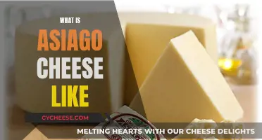 A Guide to the Flavorful Asiago Cheese