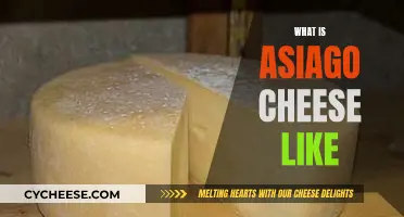 Exploring Asiago Cheese: A Flavorful Italian Experience