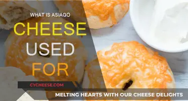 The Versatile Asiago Cheese: Uses and More