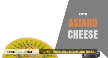Discovering Asiaho Cheese: Origins, Flavor, and Culinary Uses Explained