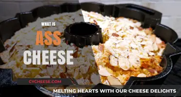 Understanding Ass Cheese: Origins, Science, and Cultural Significance Explained