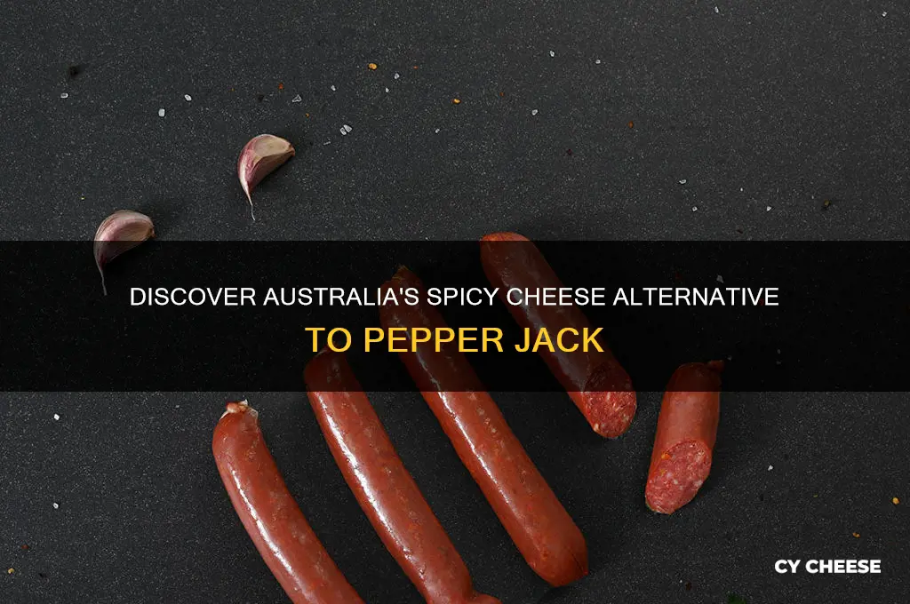 what is australian equivalent of pepper jack cheese
