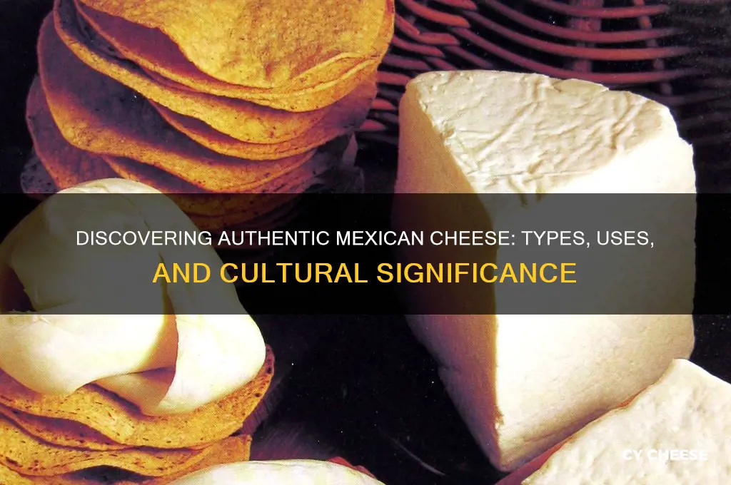what is authentic mexican cheese