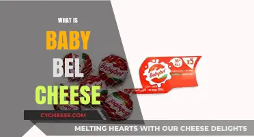 Discover the Creamy Delight: What is Babybel Cheese?