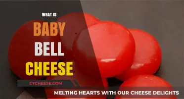 What is Baby Bell Cheese? A Tasty, Portable Snack Explained