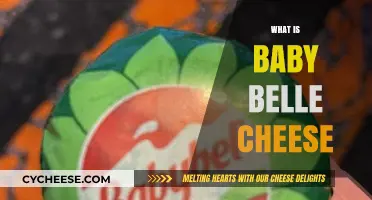 Discover Baby Belle Cheese: A Delightful Mini Cheese Experience