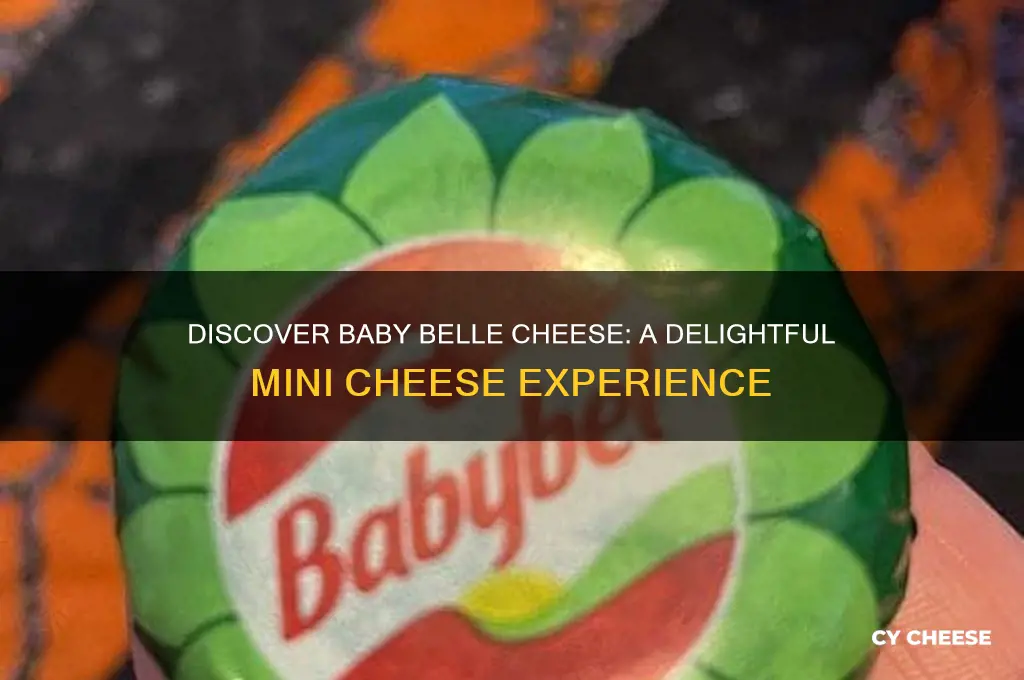 what is baby belle cheese