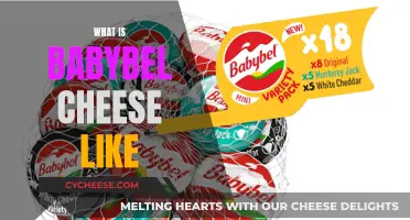 Babybel Cheese: A Tasty, Fun, and Unique Snack Experience