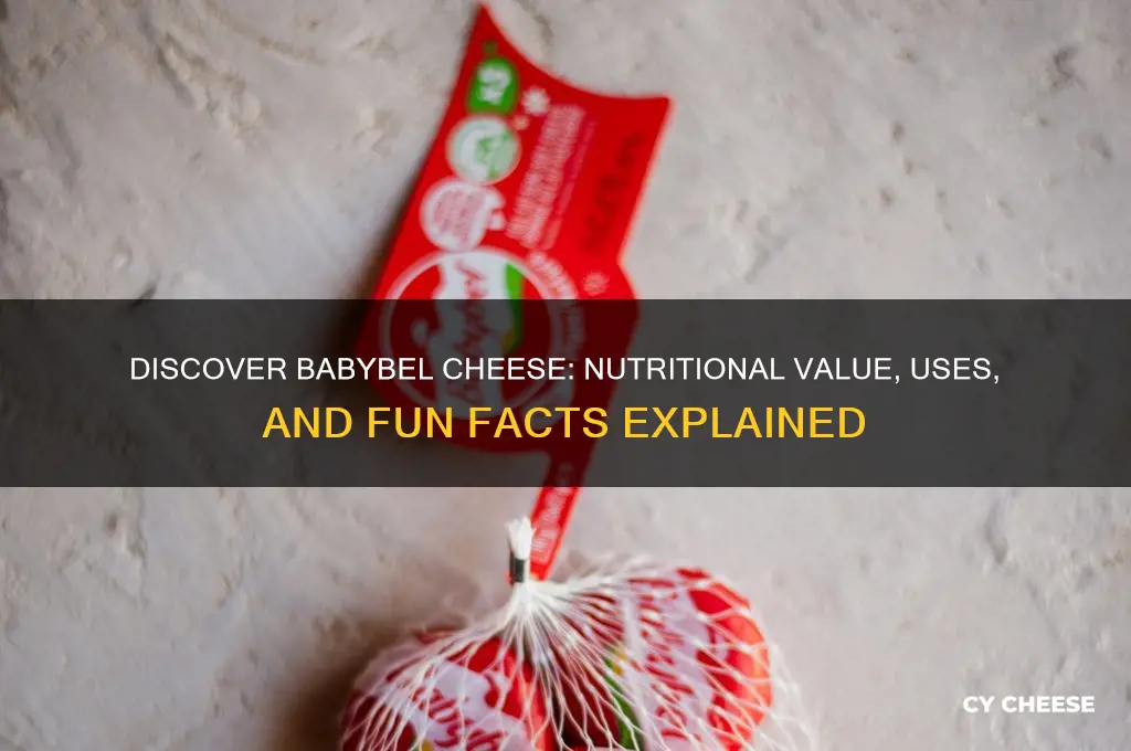 what is babybell cheese