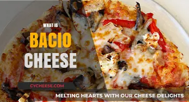 Discover the Creamy Delight of Bacio Cheese: A Tasty Guide
