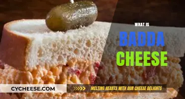 Discover the Rich Flavors and Origins of Badda Cheese