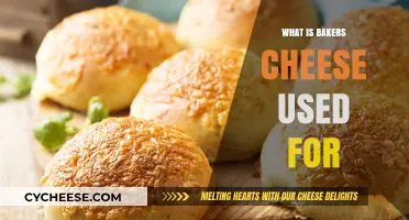 Baker's Cheese: Its Uses and Benefits