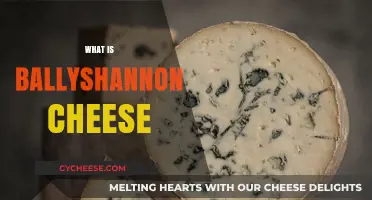 Discover the Rich Flavors of Ballyshannon Cheese: A Tasty Guide