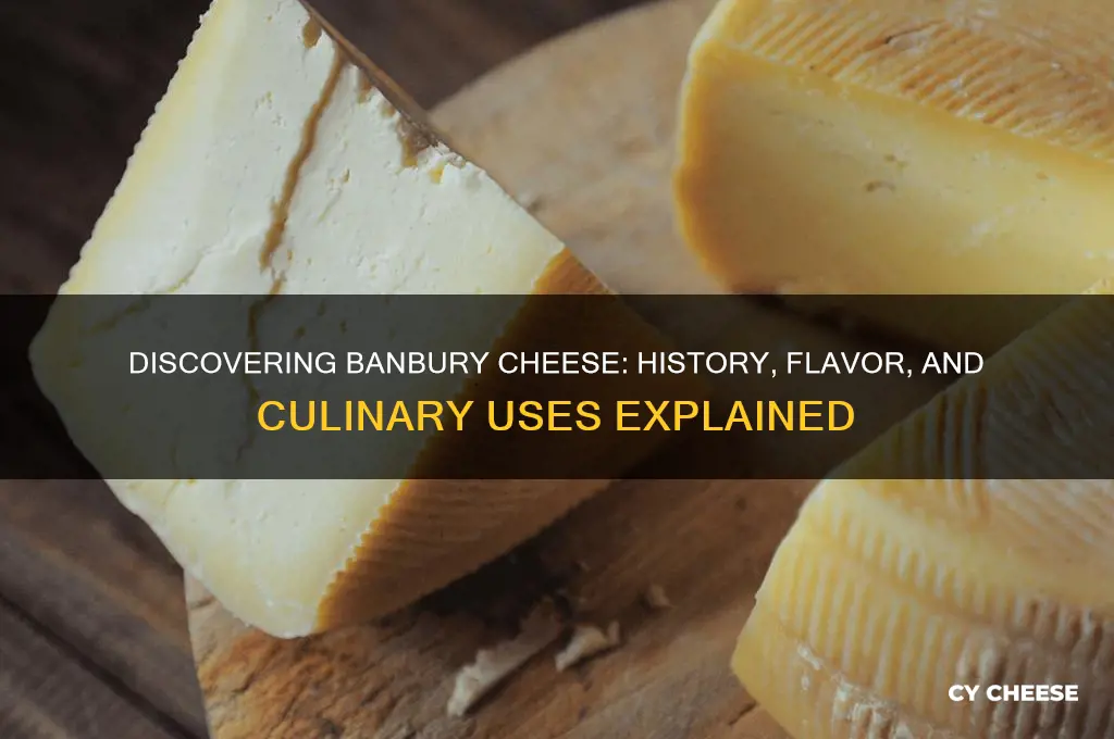 what is banbury cheese