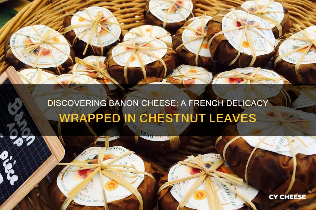 what is banon cheese