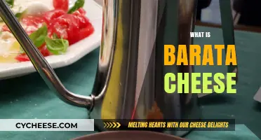 Discover the Rich Flavor and History of Barata Cheese