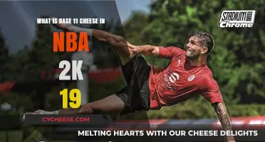 Understanding Base 11 Cheese Tactics in NBA 2K19 Gameplay