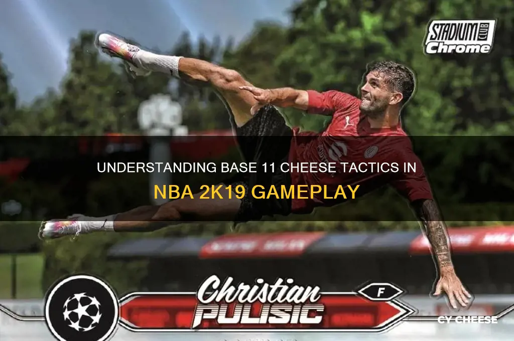 what is base 11 cheese in nba 2k 19