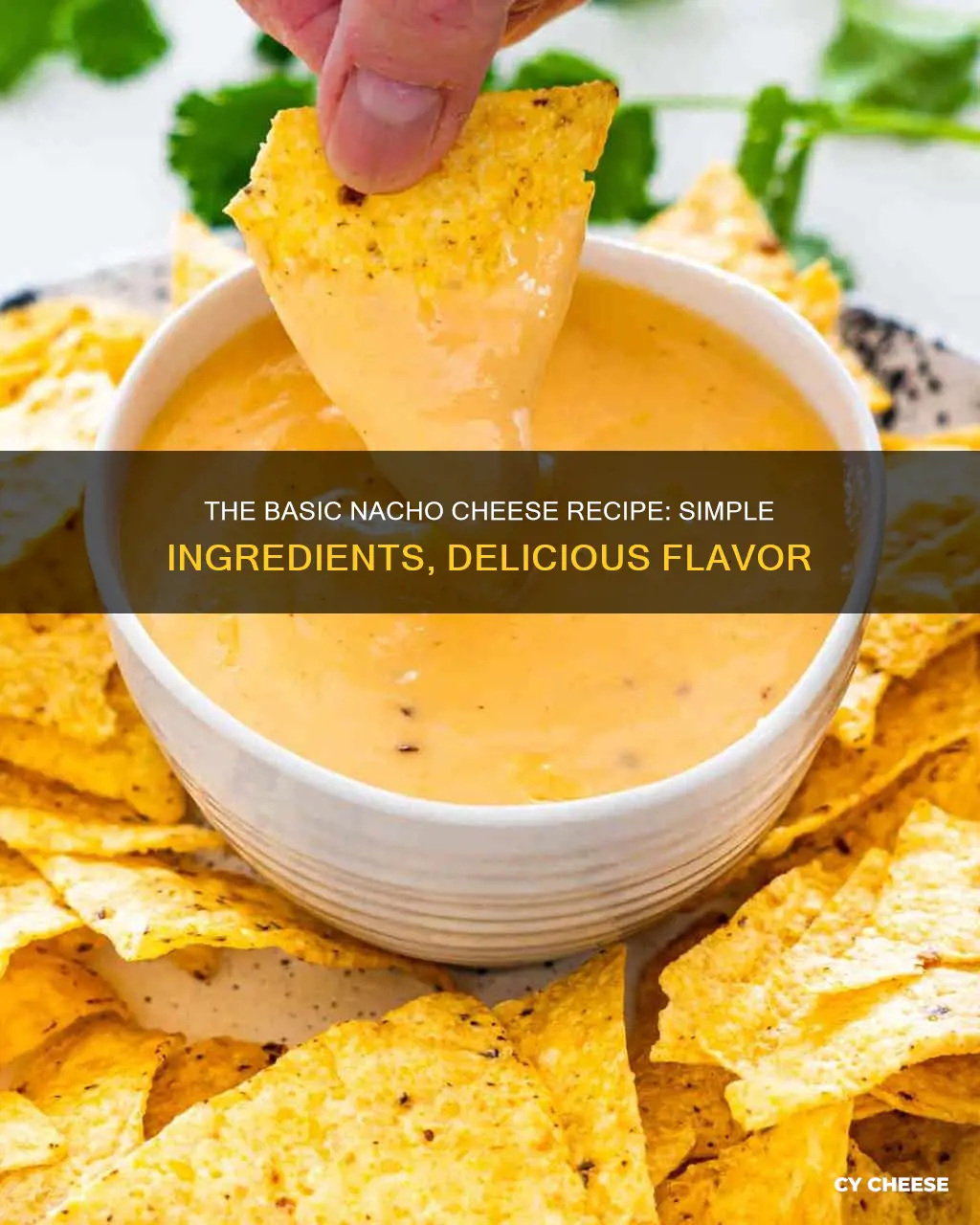 what is basic nacho cheese made of