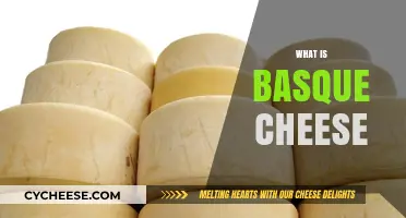 Exploring the Rich Flavors and Traditions of Authentic Basque Cheese