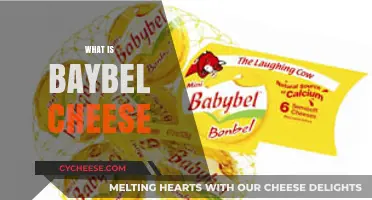 Discover the Creamy Delight: What is Baybel Cheese and Why It's Loved