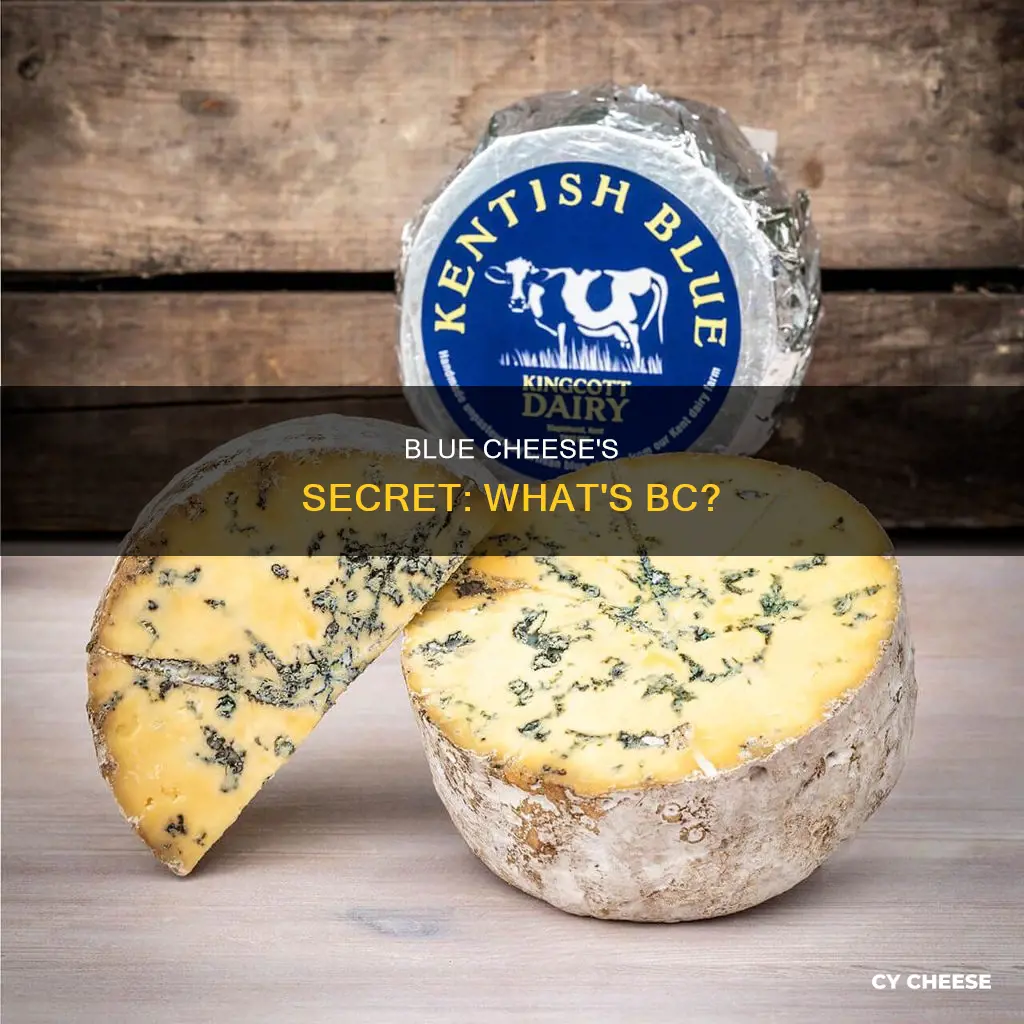 what is bc in blue cheese