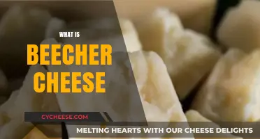 Discover Beecher's Cheese: A Creamy, Handcrafted Artisan Delight