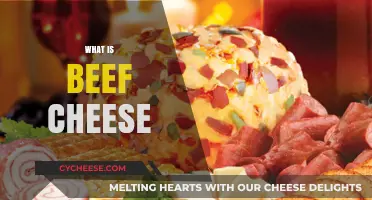 Exploring Beef Cheese: Origins, Uses, and Culinary Delights Unveiled