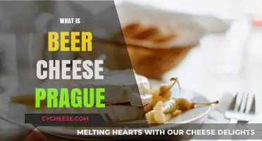 Discovering Prague's Iconic Beer Cheese: A Delicious Czech Tradition Explained