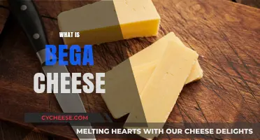 Discovering Bega Cheese: Origins, Varieties, and Culinary Uses Explained