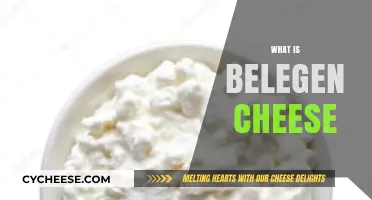 Discover the Rich Flavor and Uses of Belegen Cheese